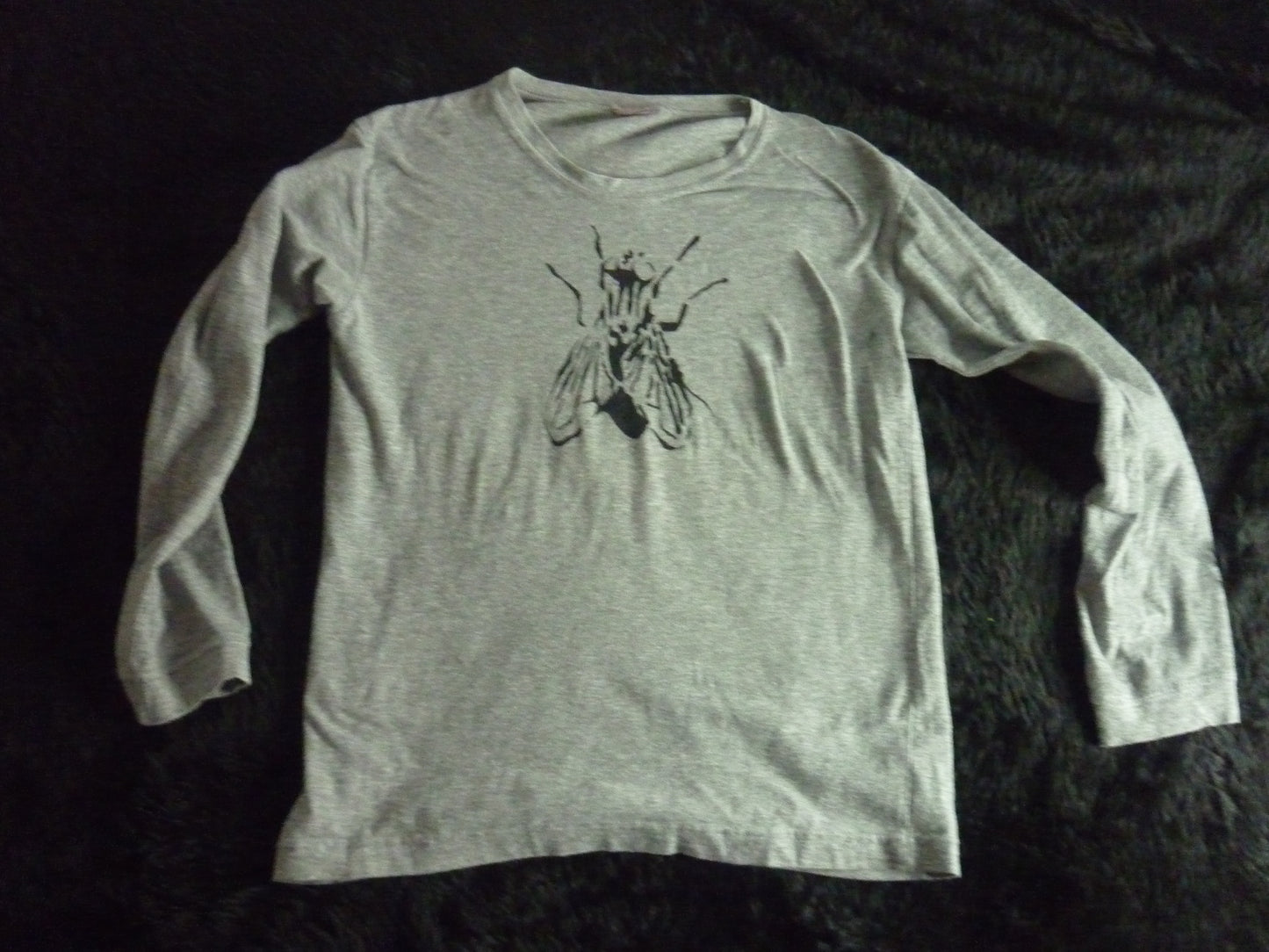 Fly Hand Painted Grey Long Sleeve T